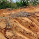 산지관리행정사사무소 이미지