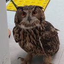 이문수농장 이미지