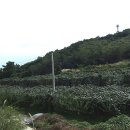 큰밭농원 이미지