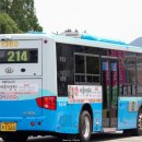 사파동214 이미지