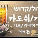 카도쉬 네이버블로그
