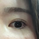 YU 뷰티 | [전주 뷰티] 전주 인후동 유지력 좋은 속눈썹 펌 맛집 “러블리”