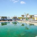 바다의별 이미지