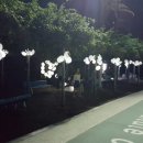 인덕장식 이미지