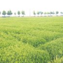 진봉농장 이미지