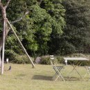 소요소림 이미지