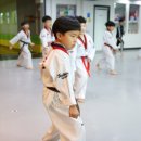 한미태권도 이미지