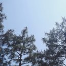 썬스타모텔 이미지