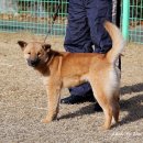 달아실 농원 이미지