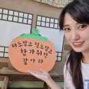 큐리어스어린이집 이미지