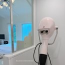 댕댕포레스트 이미지