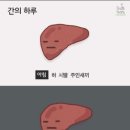 우리동네동태탕 이미지