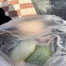 4483 | 제주 아라찐빵 쑥찐빵 전화예약 후기