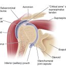 형주한의원 이미지