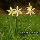 남해활어회 이미지