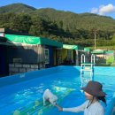 애견동반 밀양테마수영장 이미지