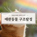 동물보육원 용인지부 이미지