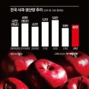 사치 이미지