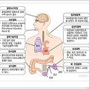 결핵 초기증상 이미지