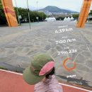 제주공천포전지훈련센터 야구장 | 2026 제주 도민체육대회 10km 마라톤 : 서귀포 러너를 위한 오운완 루틴