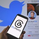 삼주메타 이미지