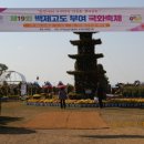 부여(사비)-19 이미지