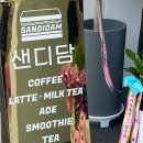 샌디담 이미지