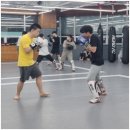 팀혼종합격투기옥계