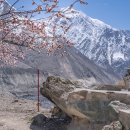 어메이징 파키스탄 4-1 - 호수 빙하 쿤자랍 파쑤 이미지