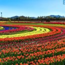 가득한정원 이미지