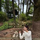 이호농장 | 2박3일 제주여행 | 아로하데이 제주스냅 | 칠돈가 흑돼지 맛집 | 화조원 | 서귀포카페 | 이호테우해변