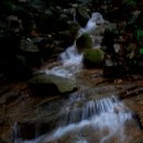 관악산 산행 후기