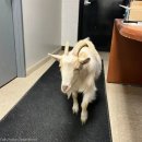 종합 할인마트 이미지