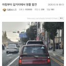 오늘자 길거리에서 발견된 영물.jog 이미지
