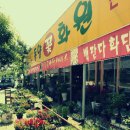 동양화원 이미지