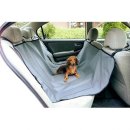 드라이브펫 이미지