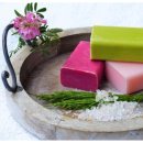 도시생활건강 이미지