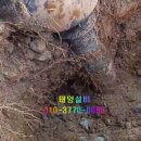 태양누수탐지