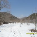신덕농장 Daum카페