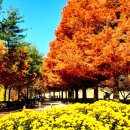 빛의 정원 - 20 이미지