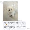 마이유어펫살롱 이미지