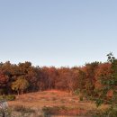 웅비(아) 이미지