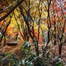 계남공원 이미지