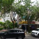 보광세탁소 이미지