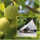 우영세탁소 이미지