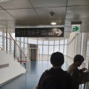 체크 인 제주 티스토리