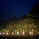 강림초 월현분교장 이미지