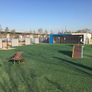 강아지놀이터 이미지