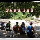 선유동천 나들길 | 선유동천 나들길
