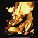 아이앤맘산부인과의원 이미지